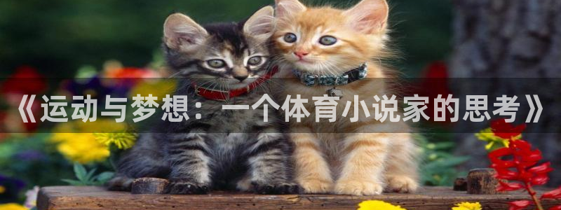皇冠678体育：《运动与梦想：一个体育小说家的思考》
