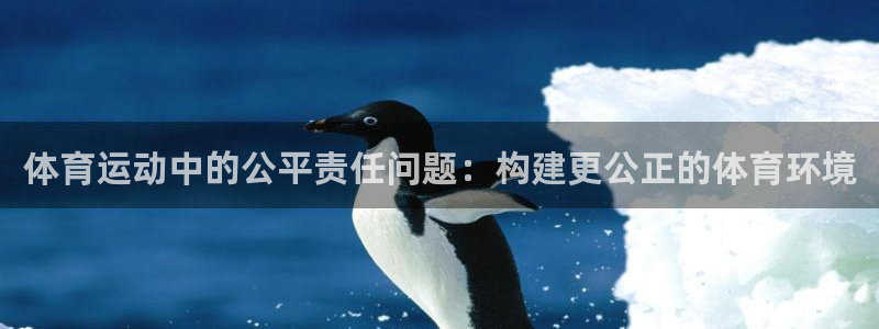 678体育官网地址：体育运动中的公平责任问题：构建更公正的体育环境