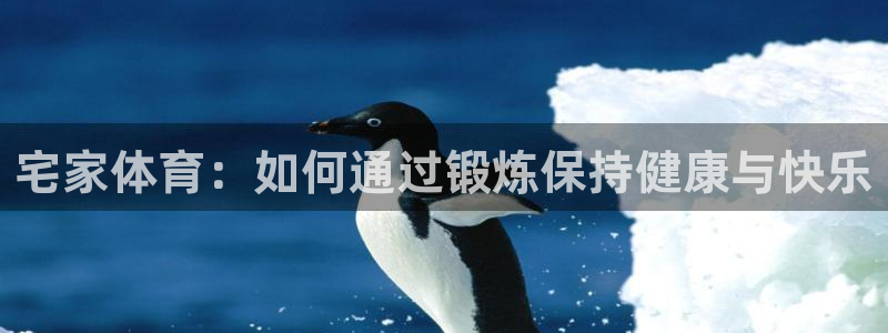 678体育app：宅家体育：如何通过锻炼保持健康与快乐