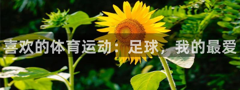 678体育知识
