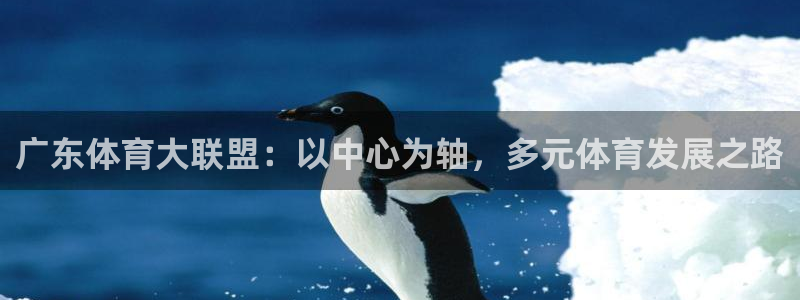678体育app