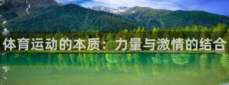 678体育官网地址