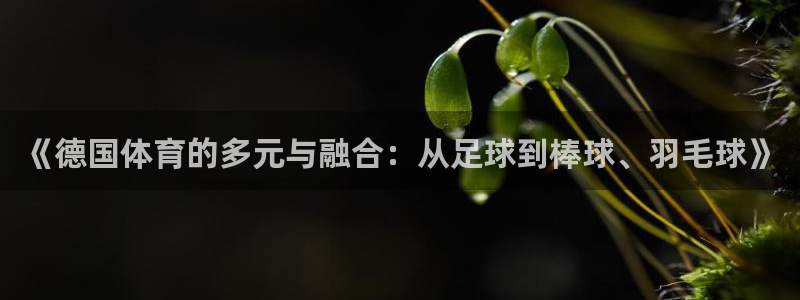 678体育官网：《德国体育的多元与融合：从足球到棒球、羽毛球》