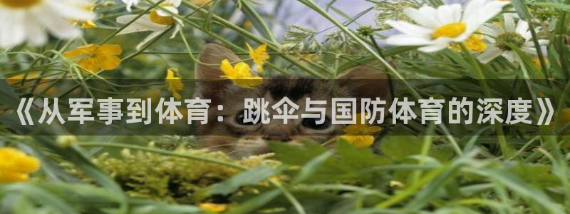 678体育官网：《从军事到体育：跳伞与国防体育的深度》